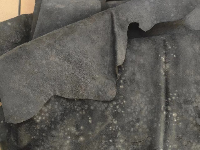 皮革發(fā)霉